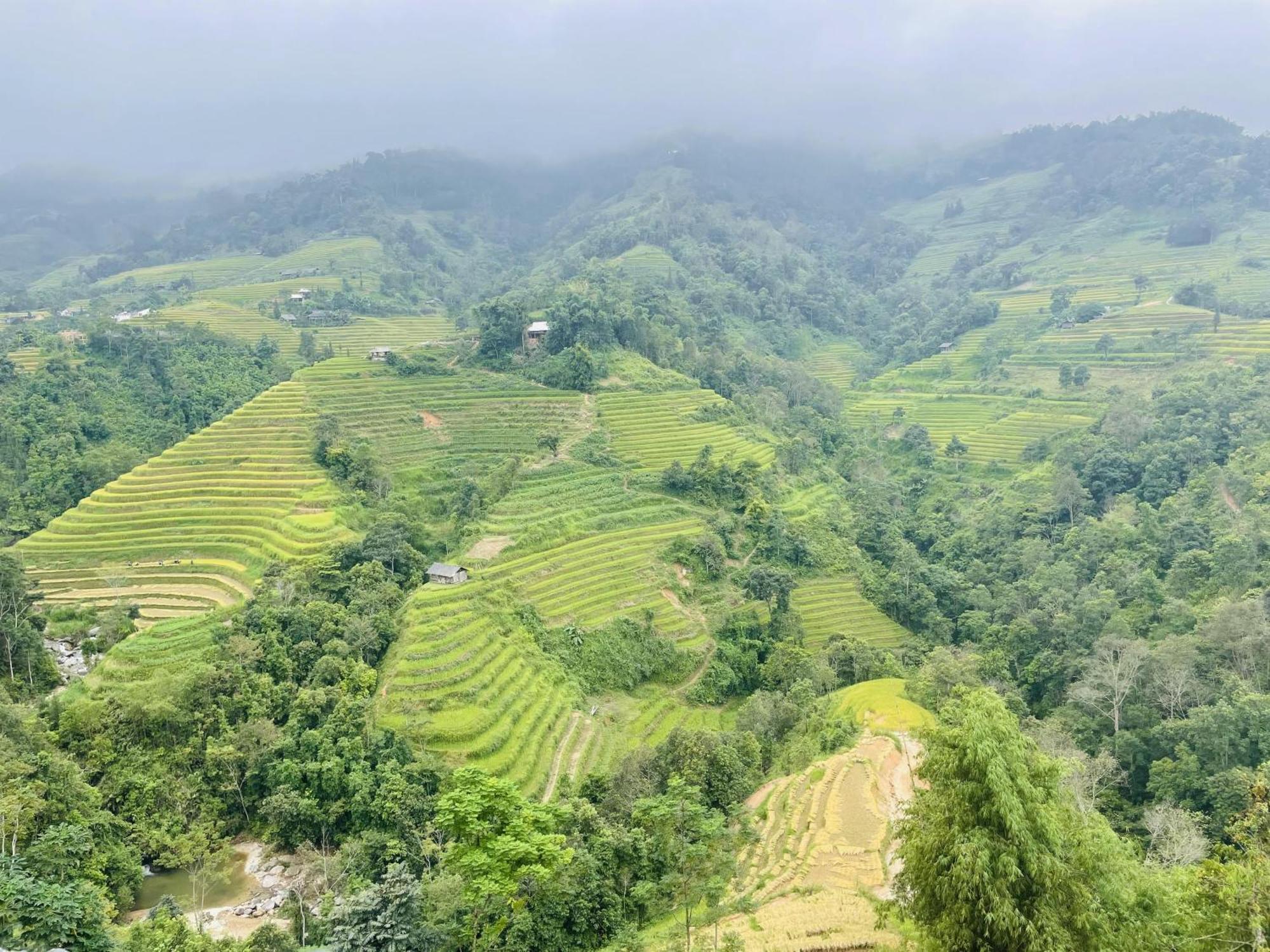 Tra My Lua Vang Ban Luoc Hotel Hà Giang Ngoại thất bức ảnh